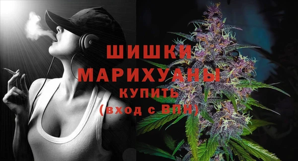 бутират Грязи