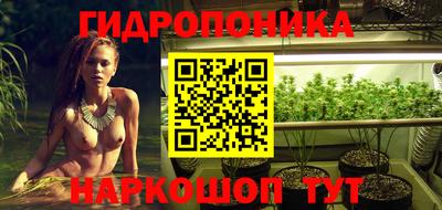ECSTASY Кимры