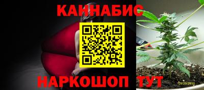 ECSTASY Кимры