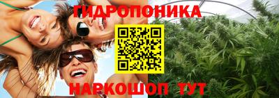прущая мука Кингисепп