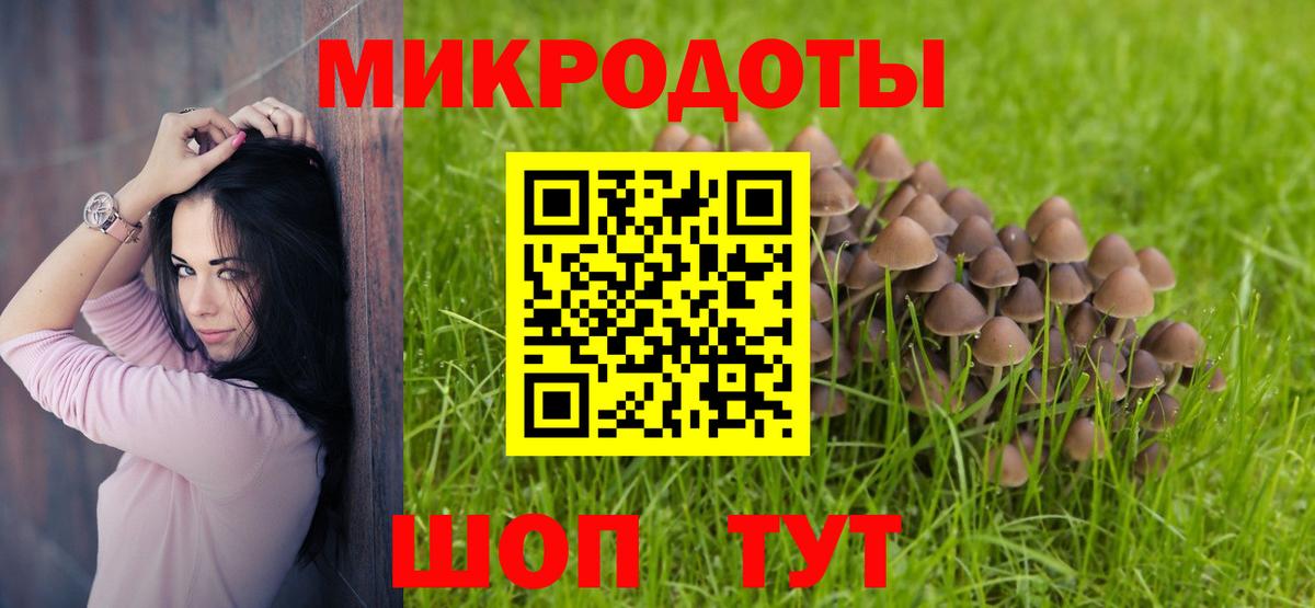 Псилоцибиновые грибы Psilocybine cubensis Карталы